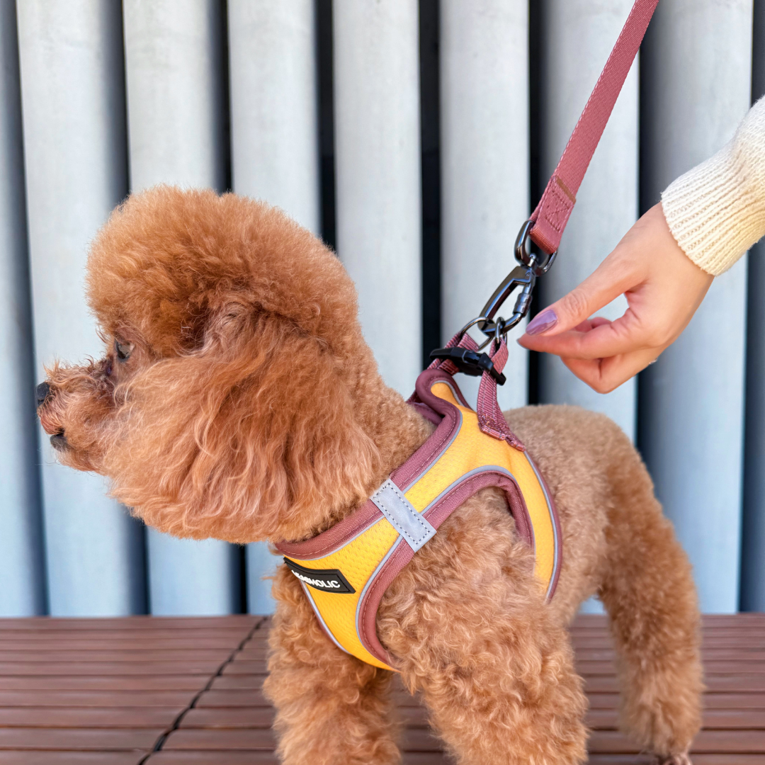 Ultra Light Harness - Sunshine with green