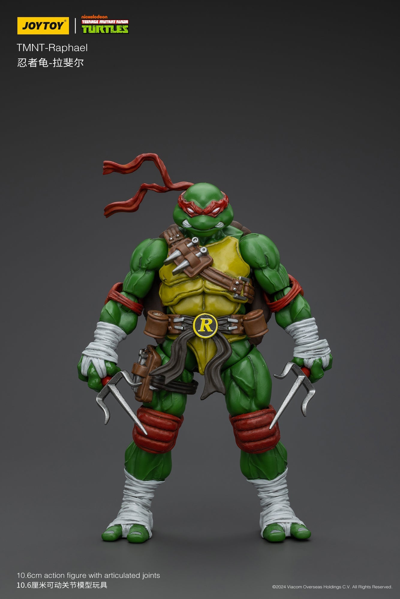 (RE-Run) TMNT - Wave 1 - TMNT Action Figure By JOYTOY