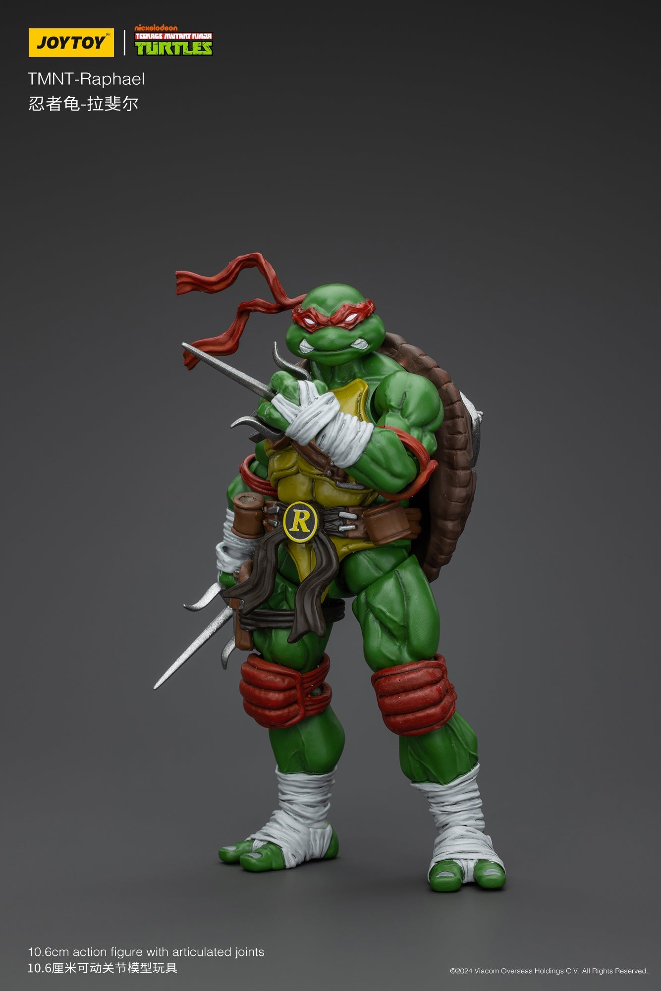 (RE-Run) TMNT - Wave 1 - TMNT Action Figure By JOYTOY