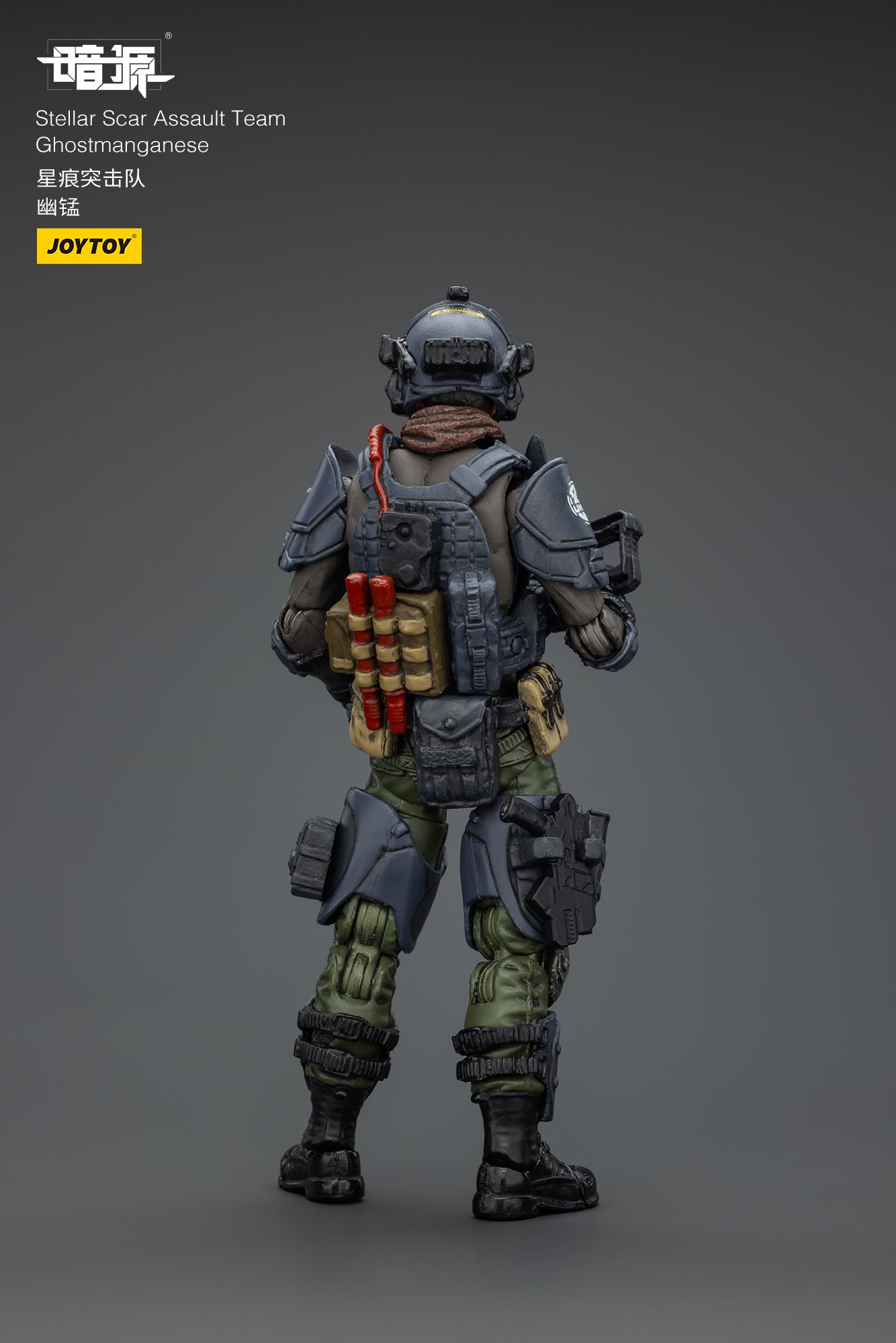 Stellar Scar Assault Team Gravelgold Action Figure by JOYTOY