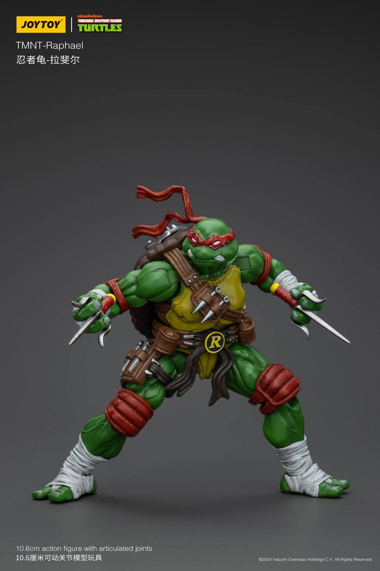 (RE-Run) TMNT - Wave 1 - TMNT Action Figure By JOYTOY