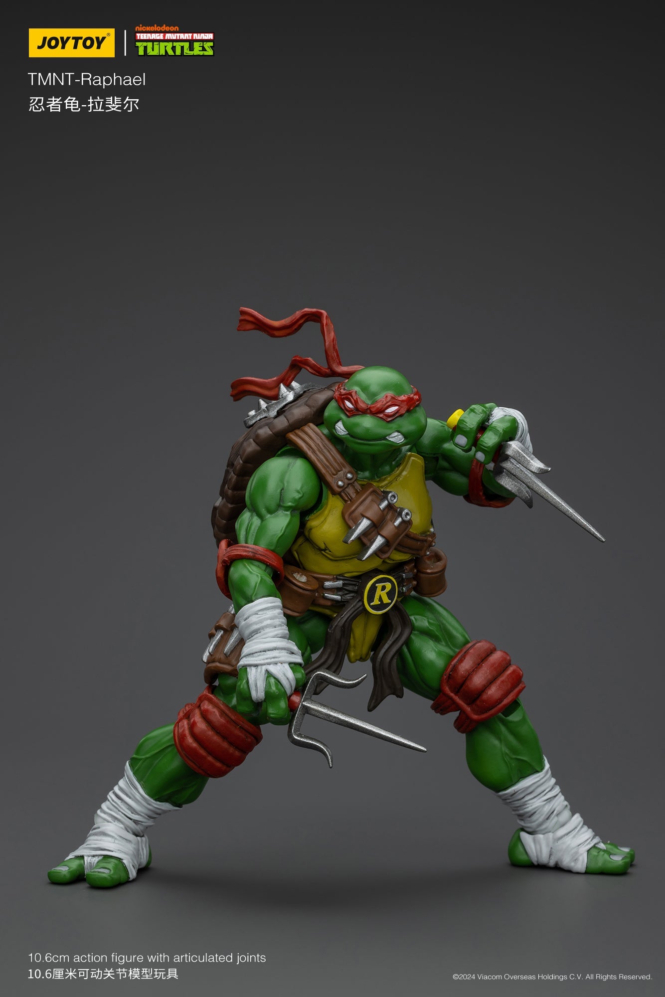 (RE-Run) TMNT - Wave 1 - TMNT Action Figure By JOYTOY