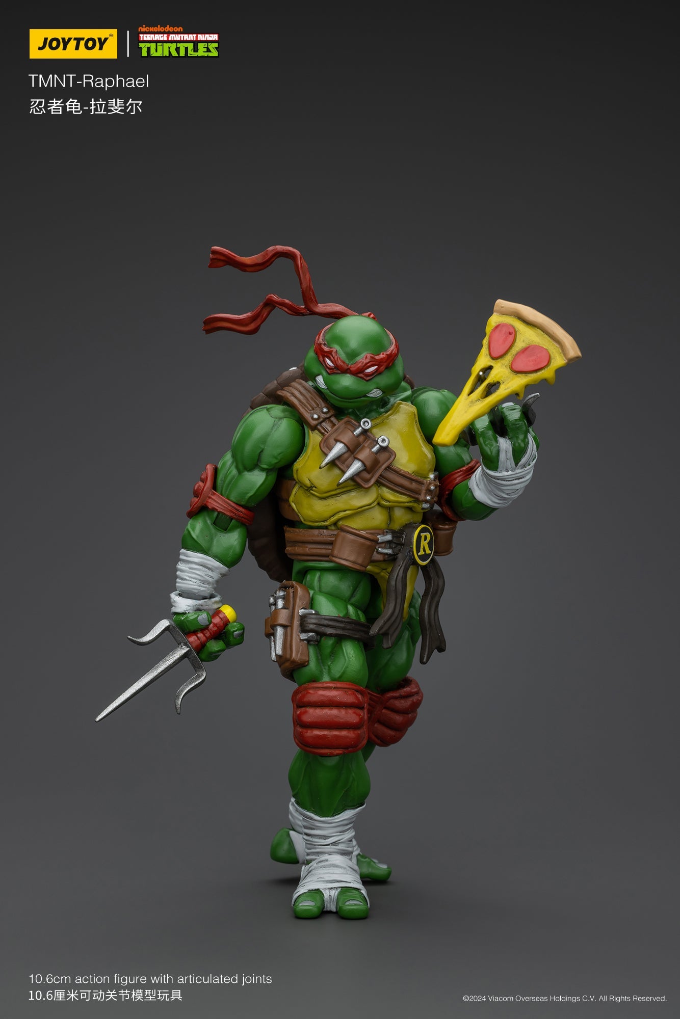 (RE-Run) TMNT - Wave 1 - TMNT Action Figure By JOYTOY