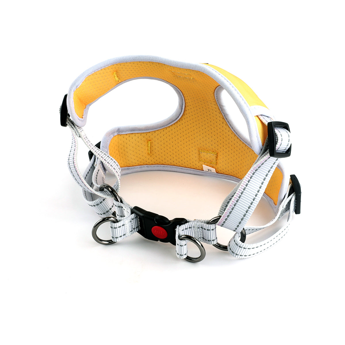 Oxford Cloth Smart Casual Harness - Bright with White