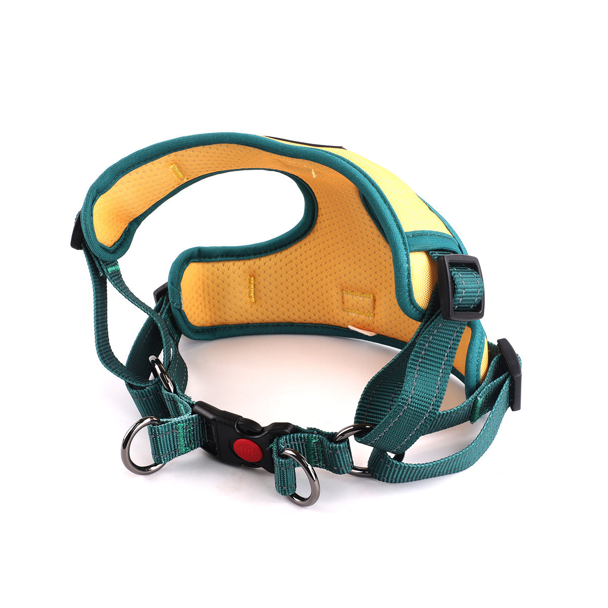 Oxford Cloth Smart Casual Harness - Bright with Green