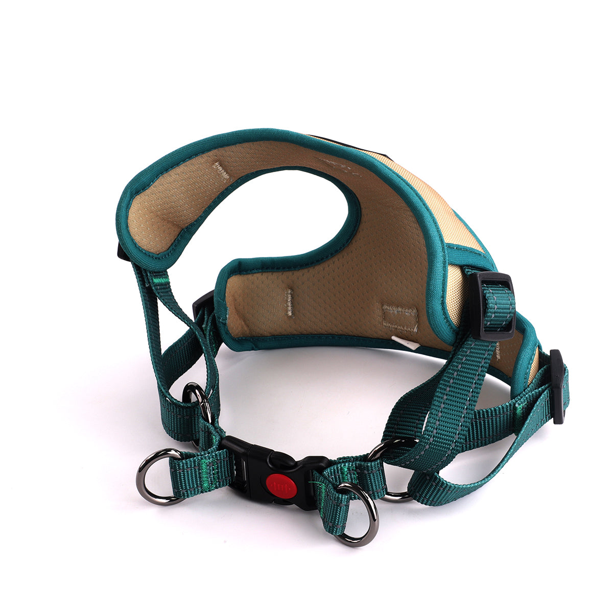 Oxford Cloth Smart Casual Harness - Sand with Green