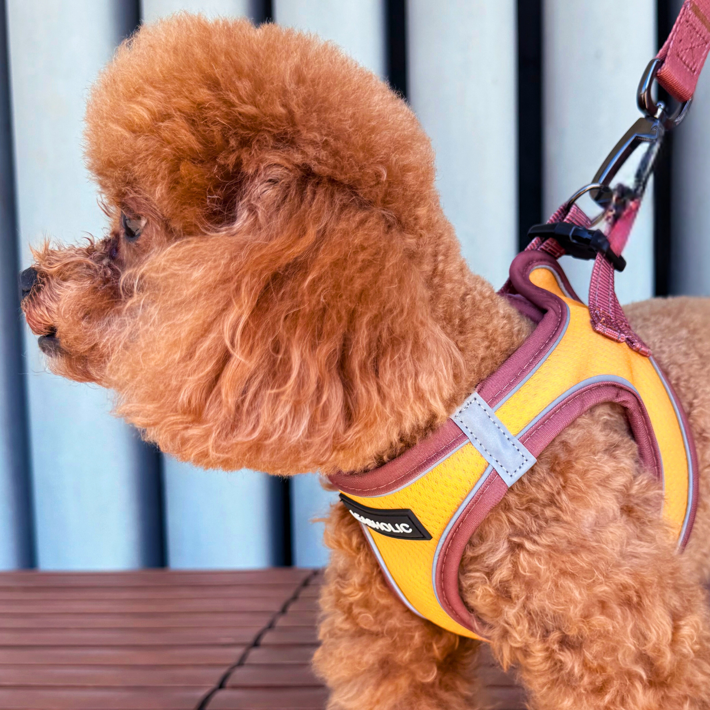 Ultra Light Harness - Sunshine with Sand