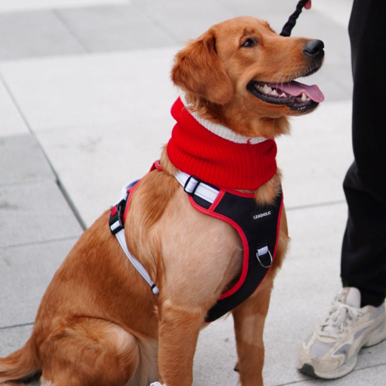 Smart Max No Pull Harness - Ink with Crimson