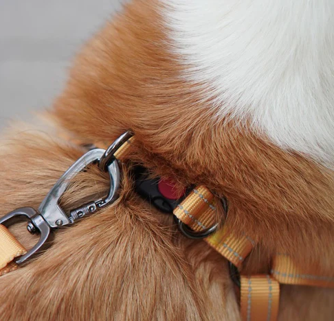 Classic Comfort Leash - Jungle Green