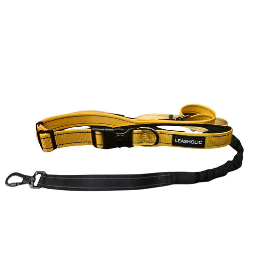 6 in 1 Multi-functional Hands-Free Leash - Bright with Ink