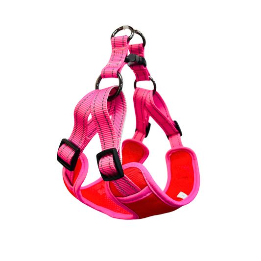 Oxford Cloth Smart Casual Harness - Crimson with Pink