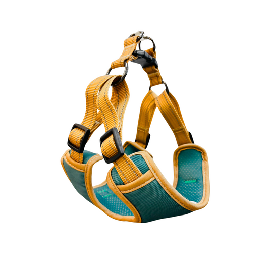 Oxford Cloth Smart Casual Harness - Jungle with Brown