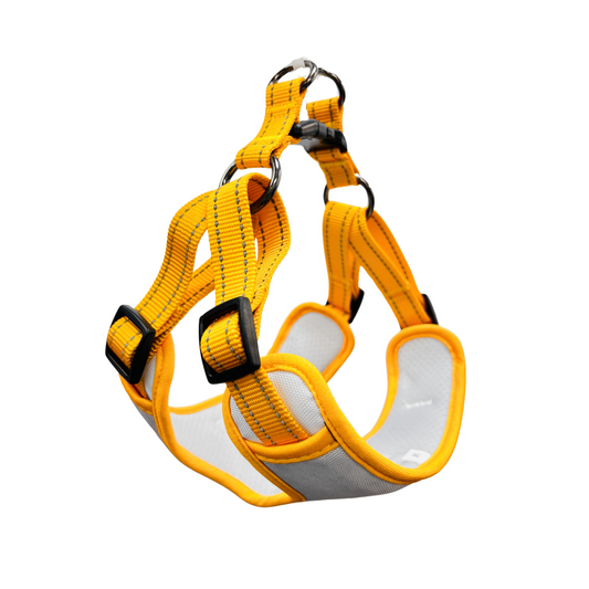 Oxford Cloth Smart Casual Harness - Snow with Yellow