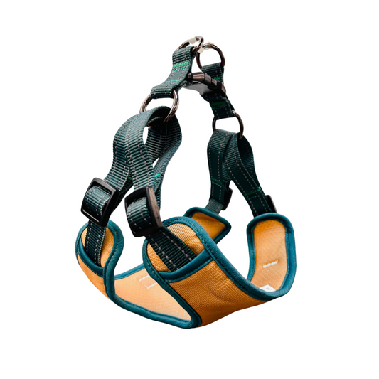 Oxford Cloth Smart Casual Harness - Sand with Green