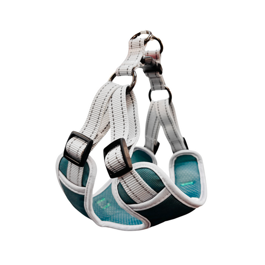 Oxford Cloth Smart Casual Harness - Jungle with White