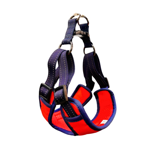 Oxford Cloth Smart Casual Harness - Crimson with Blue