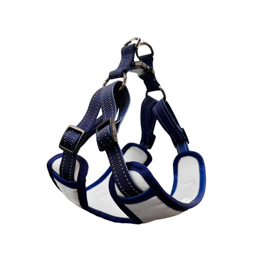 Oxford Cloth Smart Casual Harness - Snow with Blue