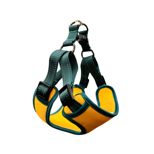 Oxford Cloth Smart Casual Harness - Bright with Green