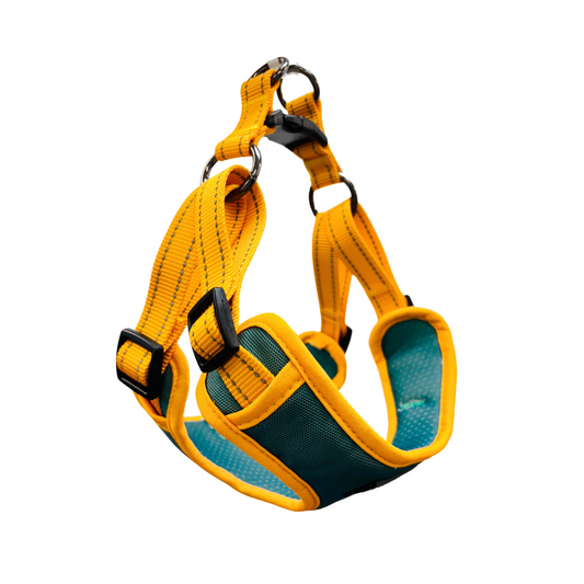 Oxford Cloth Smart Casual Harness - Jungle with Yellow
