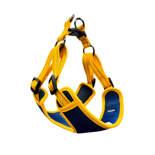 Oxford Cloth Smart Casual Harness - Navy with Yellow