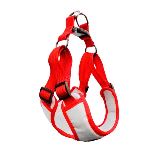 Oxford Cloth Smart Casual Harness - Snow with Red