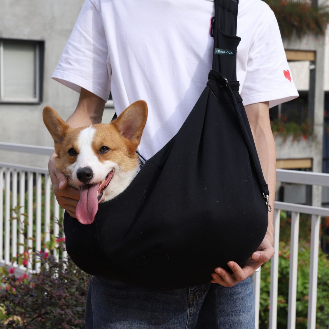 Pet Carrier (Black)