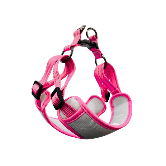 Oxford Cloth Smart Casual Harness - Snow with Pink