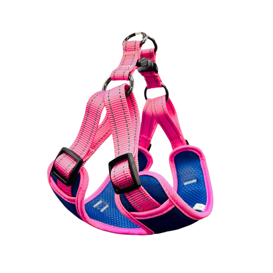 Oxford Cloth Smart Casual Harness - Navy with Pink