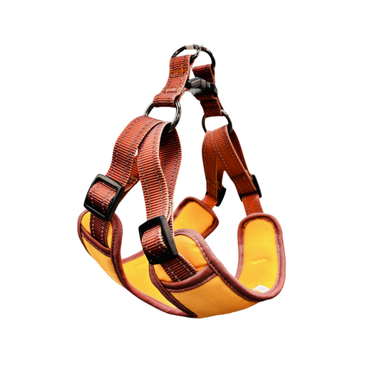 Oxford Cloth Smart Casual Harness - Bright with Brown