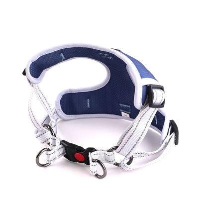 Oxford Cloth Smart Casual Harness -Navy with White