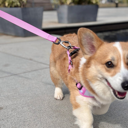 Classic Comfort Leash - Candy Pink