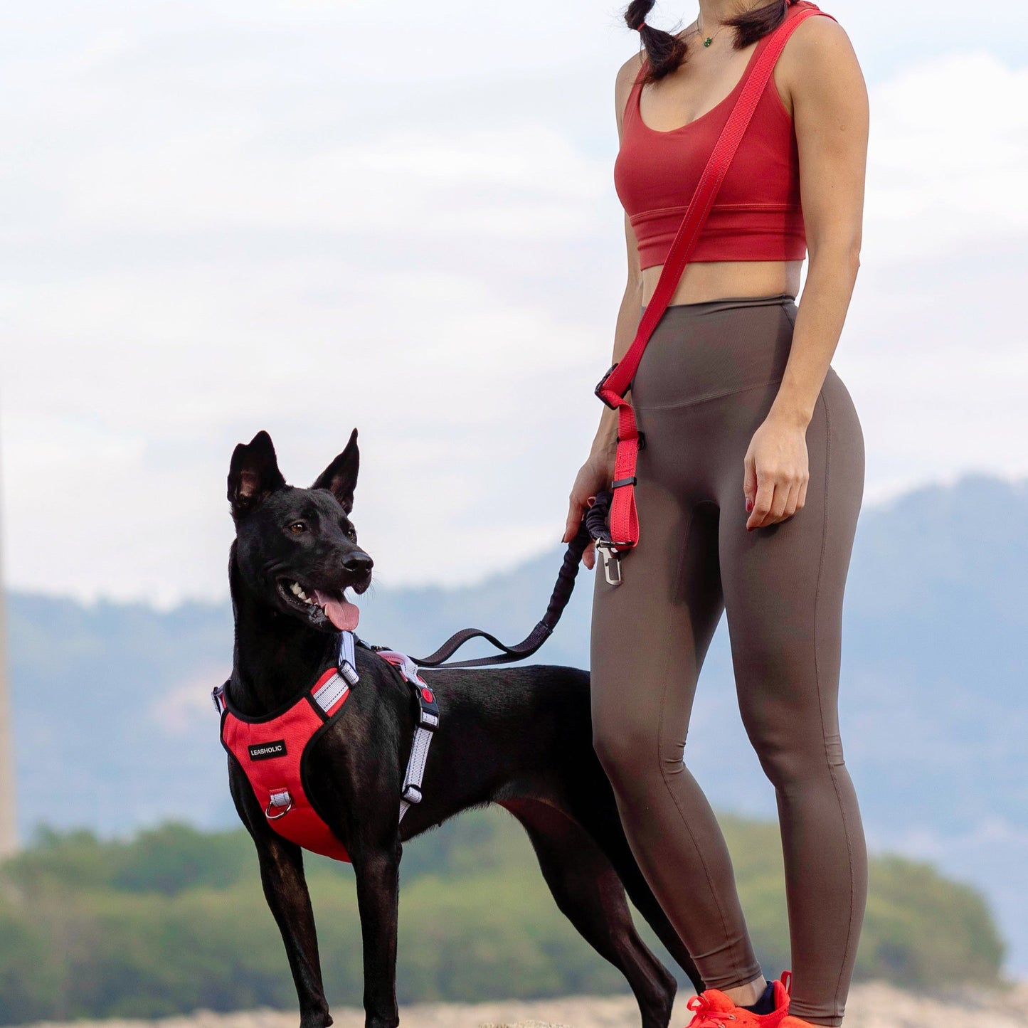6 in 1 Multi-functional Hands-Free Leash - Bright with Ink