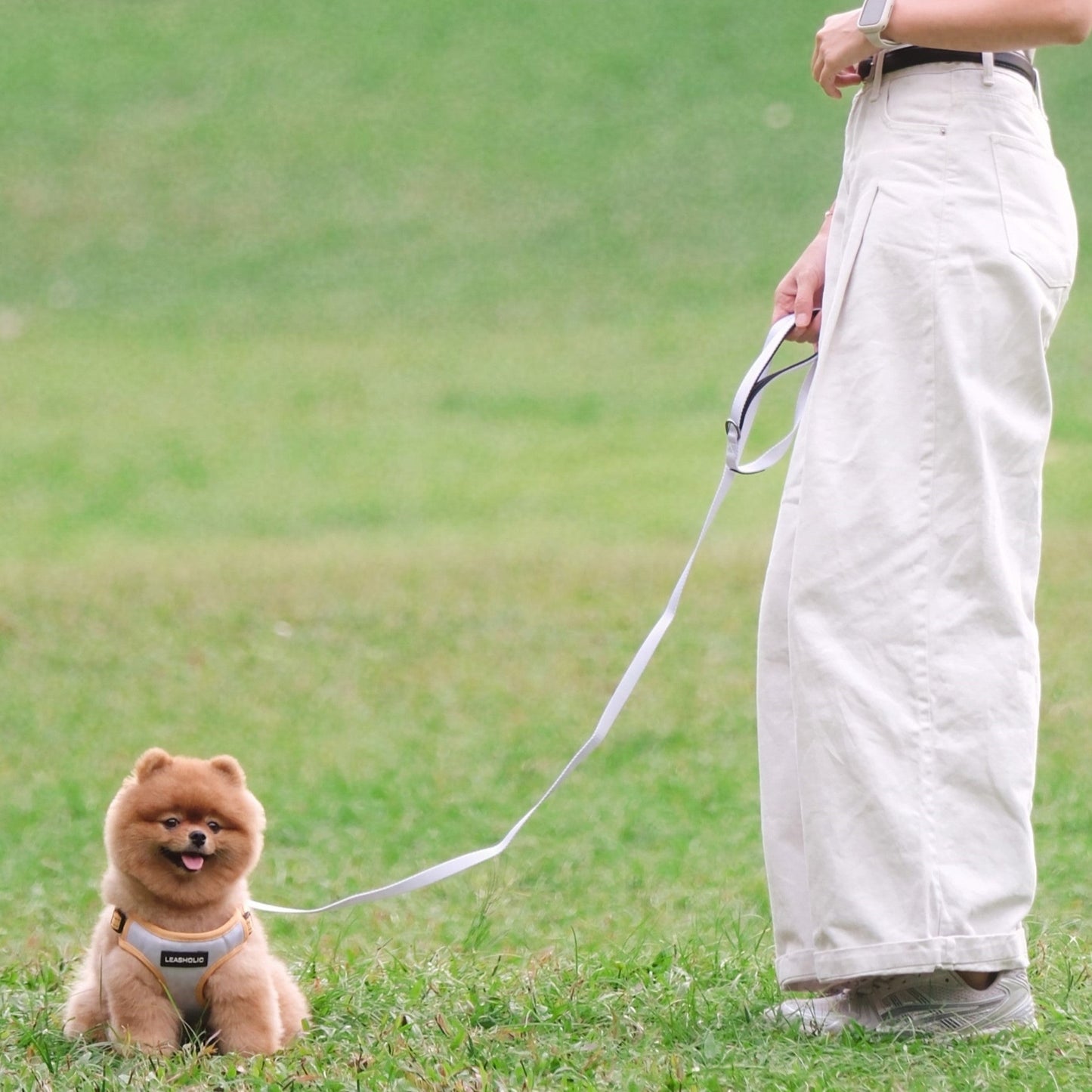 Classic Comfort Leash - Sandy Beige