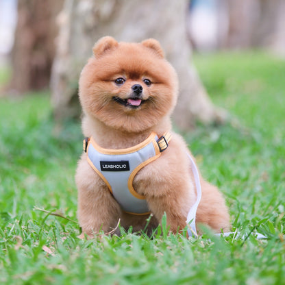 Oxford Cloth Smart Casual Harness - Snow with Yellow