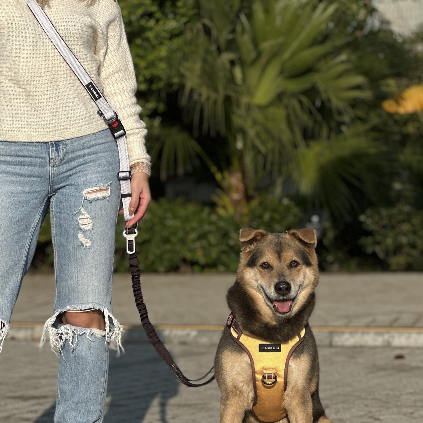 6 in 1 Multi-functional Hands-Free Leash - Ink with Snow