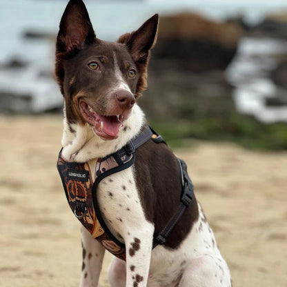 Oxford Cloth No-Pull Harness - Vintage Watch Movement