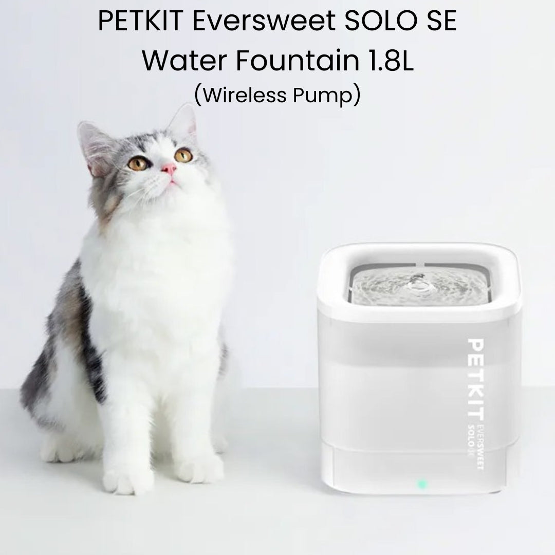 PETKIT Eversweet SOLO SE Drinking Fountain 1.8L