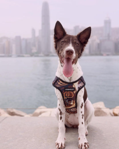 Oxford Cloth No-Pull Harness - Vintage Watch Movement